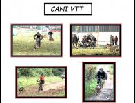 Cani vtt