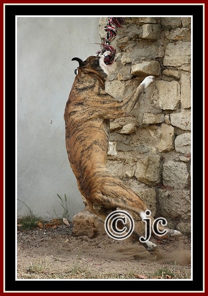 95